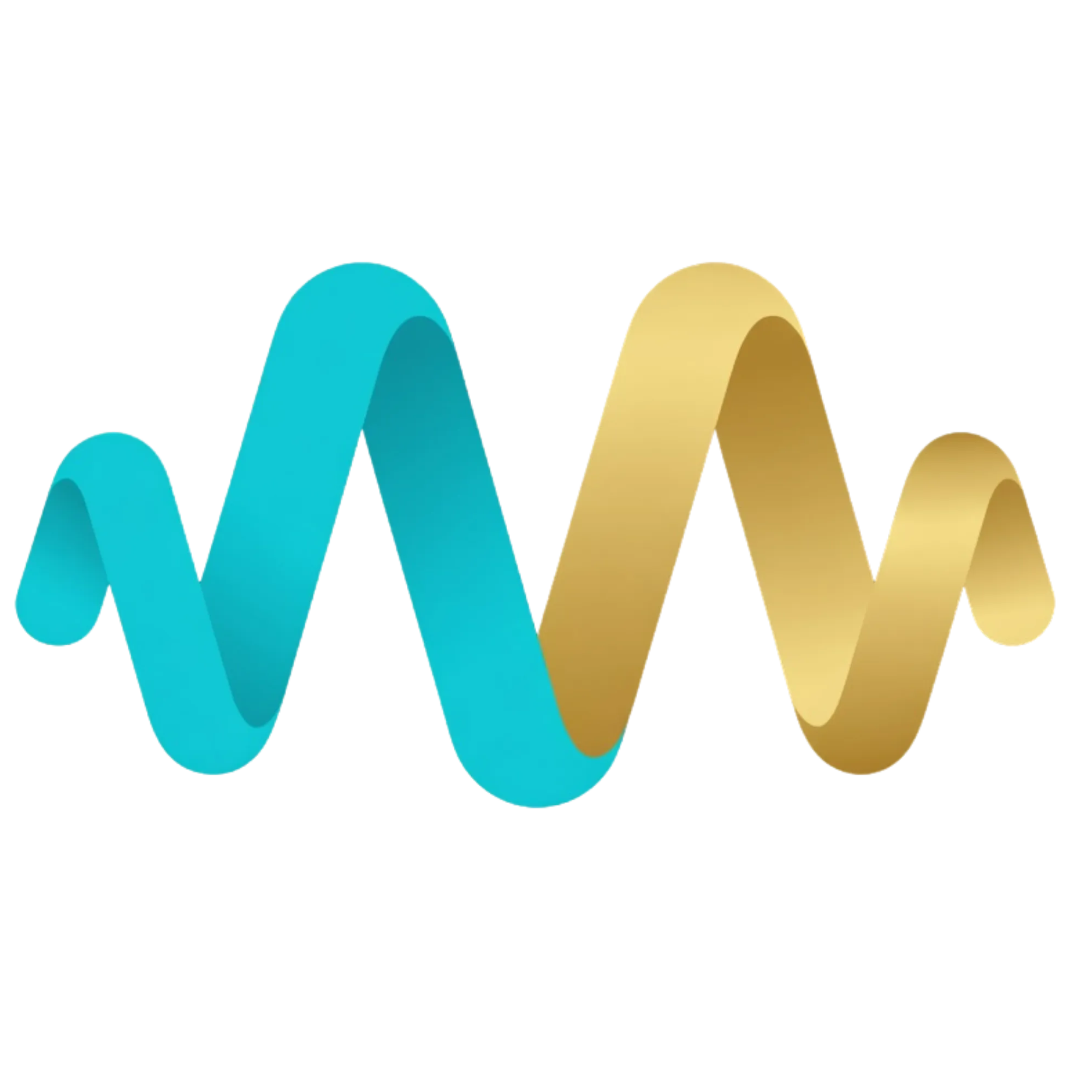 MotionMax